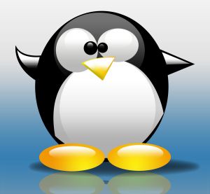 Google Pinguim Update